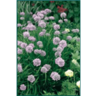83fab92f3d1525b0c4d2794a0e2aa5f9.PNG