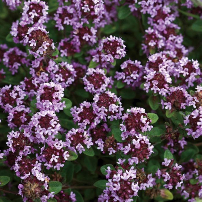 6b4700f04216506dcbc48424d5d98836.jpg